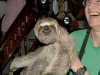 meslothweb.jpg