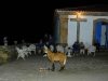 manedWolfMonastery.jpg