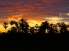 sunrise.jpg