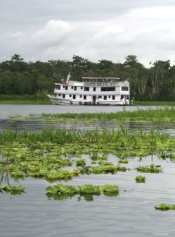 Victoria Amazonica