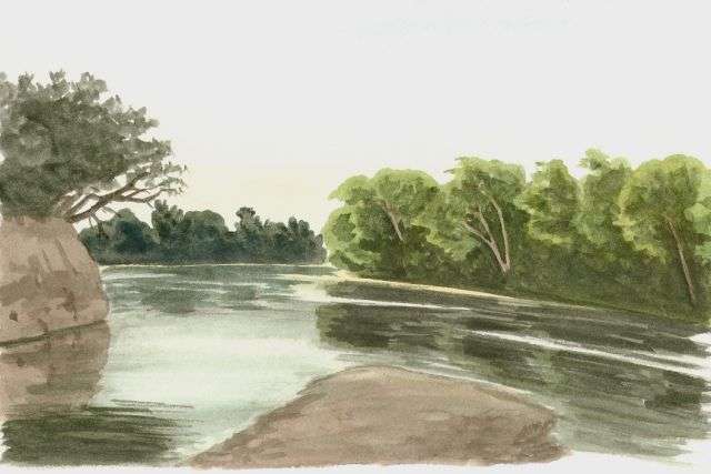 Rupununi River